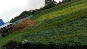 Мотоблок Скаут.  Обработка паров.