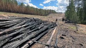 Подростки по указанию куратора подожгли лес в Забайкалье, ущерб превысил 300 млн