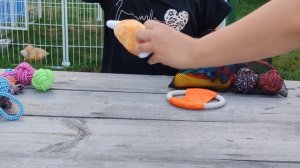 Игрушки для собак с ОЗОН