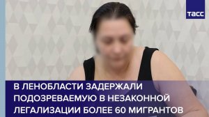 В Ленобласти задержали подозреваемую в незаконной легализации более 60 мигрантов