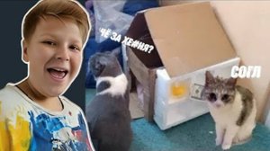 Сделал Дом Для Котиков