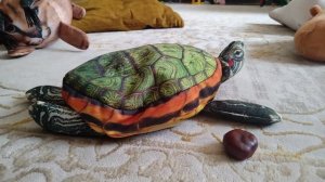 20 серия игрушек блоп топ 99 ночей в лесу