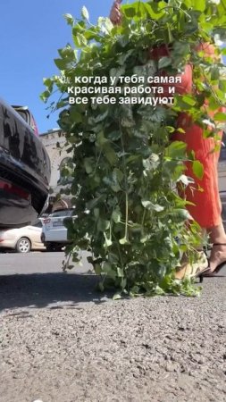 #фитодизайн #озеленение #комнатныерастения