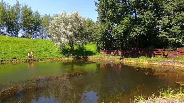 Вальдемар 25. 30 серия. Африканец