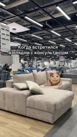 Бу, испугались? Это мы шутим, наши консультанты самые тактичные ❤️
