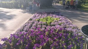 *Заглянула в паспорт*ЕЛЕНА КАРПУК. полюбившие многими песни.