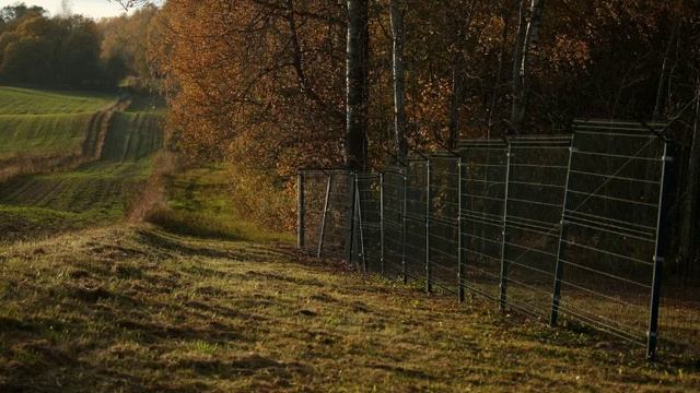 В Польше указали на сокращение территории страны на 68 га за год. смотреть онлайн