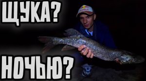 🤔КЛЮЁТ ЛИ НОЧЬЮ ЩУКА? Донки ,спиннинг река ОБЬ.