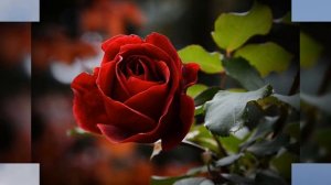 Иисус - Ты мой лучший Друг!