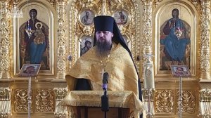 Слепота духовная. Наука и вера. Способ познания истины -- проповедь 27.07.2025 г.