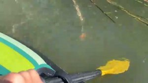 Ловушки на рыбу Испытание от самой дешёвой до самой дорогой