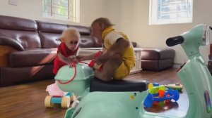 Обезьянки МАЛЕХА и БУКАШКА кроха играли игрушками Строят с мамой забор МИЛАЯ МАЛЫШНЯ