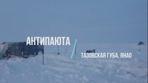 с. Антипаюта, Тазовская губа, ЯНАО