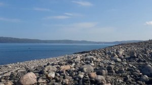 Териберка. Пляж Дракона (29.07.2025)(4)