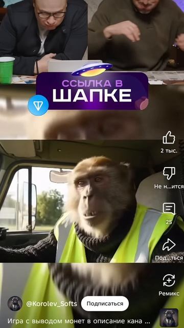 29-07-2025 смотреть онлайн