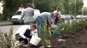 Живая изгородь будет защищать газоны от незаконной парковки автомобилей