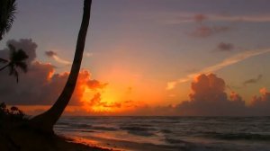 🌿 Best Relax Music.Relaxing Guitar Music.Guitar Music.Romantic Guitar.Instrumental Music.Ca🏵️