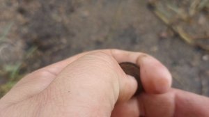 Пляжные находки в Казахстане!