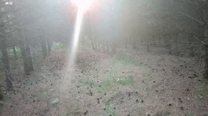 Вечерняя прогулка