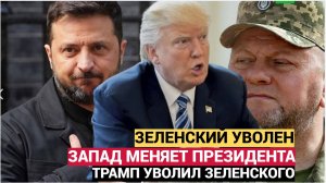 ШАРИЙ В ШОКЕ! ТРАМП УВОЛИЛ ЗЕЛЕНСКОГО..ЗАЛУЖНЫЙ НОВЫЙ ПРЕЗИДЕНТ УКРАИНЫ