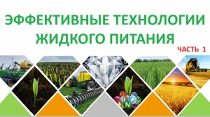 Эффективные технологии жидкого питания  ЧАСТЬ 1