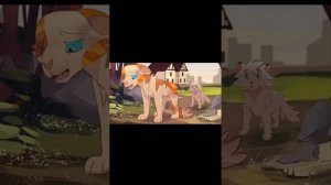 SVID_20250725_205340_1