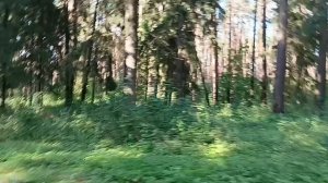 наш красивый город процветает