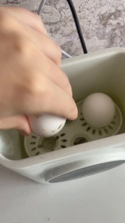 Как сварить яйца