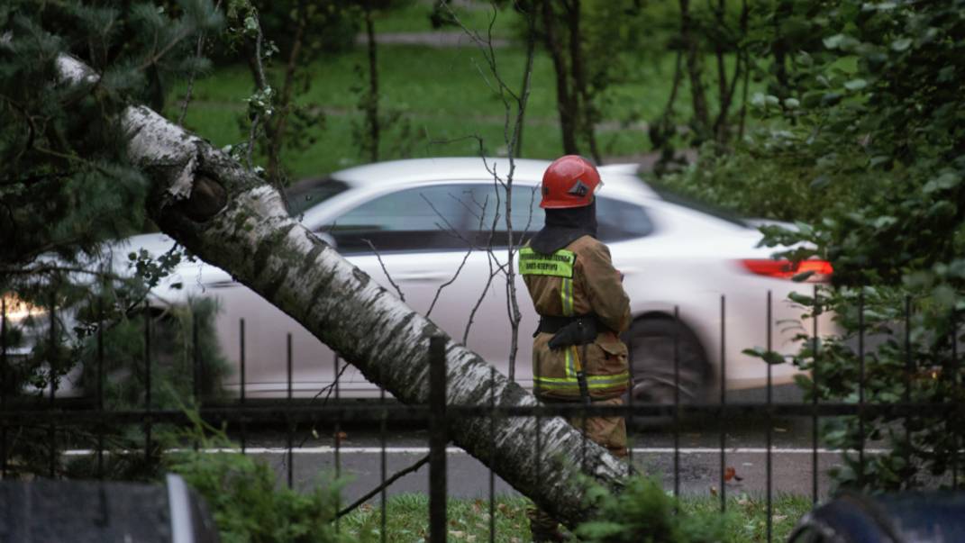 Штормовой ветер и ливни пришли на смену затяжной жаре в Петербурге