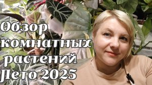 ОБЗОР КОЛЛЕКЦИИ МОИХ РАСТЕНИЙ | ХОЙИ, АЛОКАЗИИ, ФИЛОДЕНДРОНЫ, АГЛАОНЕМЫ | ЛЕТО 2025