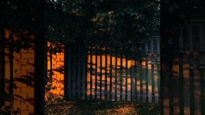 "Серебряные струны" стихи В. Высоцкого