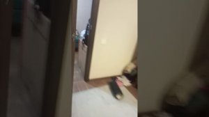 пять ночей с бабайкой