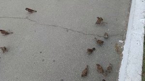 Мы с мамой в гости