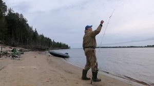 25 - 26 июля 2025 г. Донки. Кукуруза рулит!😁👍