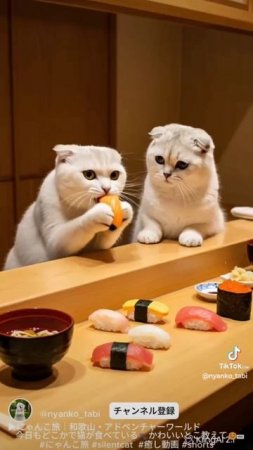 Котики нейросеть