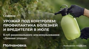 4 сезон 26 семинар. Урожай под контролем: профилактика болезней и вредителей в июле