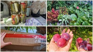 Господь услышал мои молитвы!🙏 Котлеты  как пух. Домашние хлопоты с утра.