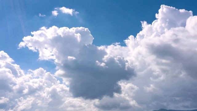 Поэт - охотник, стерегущий дичь