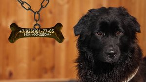 Общительная Бусинка