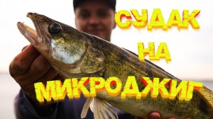 МИКРОДЖИГ ловит СУДАКА💪💪💪 Рыбалка в дождь 👍