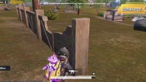 Ливик топ с юмпом