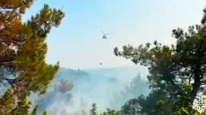 Крупный пожар охватил 12 гектаров в Геленджикском лесничестве