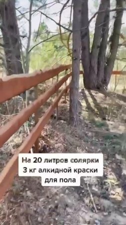 Пропитка древесины ☝️