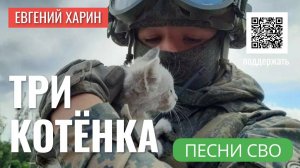 Три котёнка