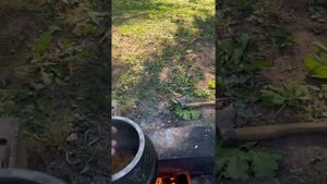 Выходные на даче.