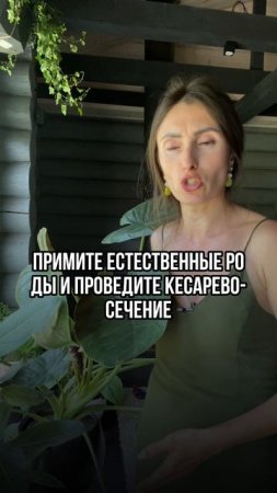 #алоказия #фитодизайн #озеленение #комнатныерастения