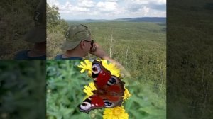 Романс об абстрактном