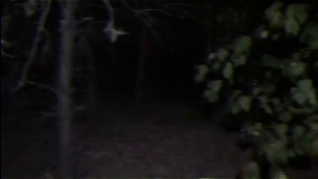 Dexter| analog horror| part 3