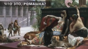 История бескультурья. История абсента от изобретения до отмены бана