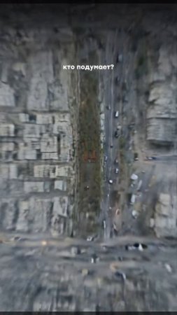 Поступил в онлайн-институт без экзаменов